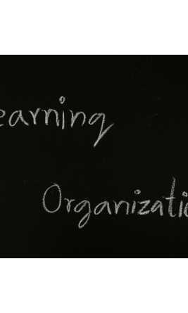 Lerende Organisatie