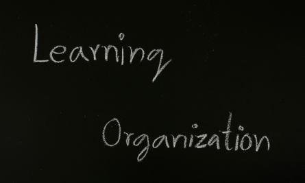 Lerende Organisatie